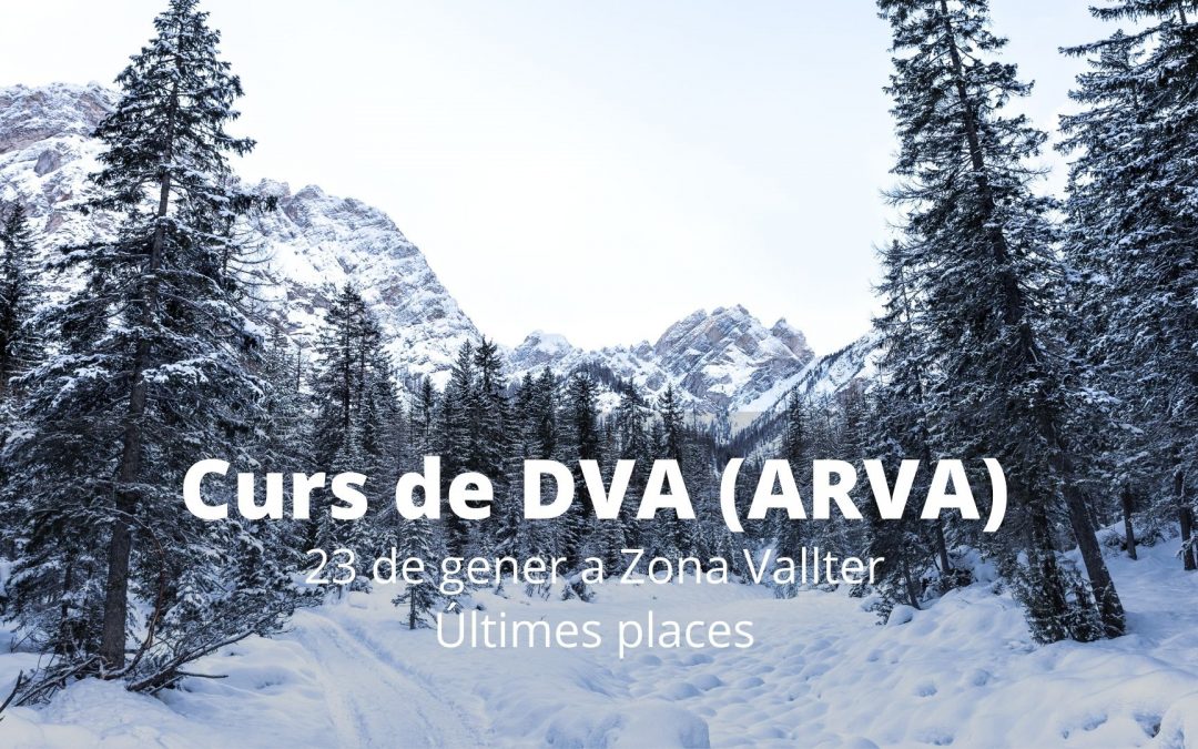 Curs de DVA (ARVA) 23 de gener – Zona Vallter